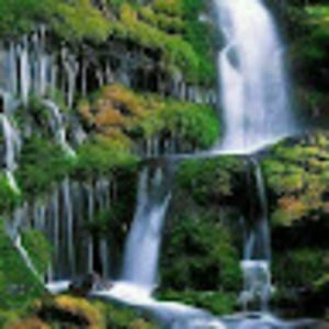 Meet your Posher, Reginald